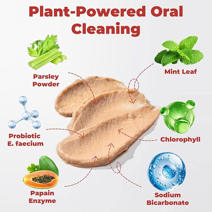 Cat Dental Care & Cat Teeth Cleaning Gel Treat for Cats – Dental Care for Cats, Cat Oral Care to Freshen Cat Breath, Help Reduce Plaque Buildup, Cats Bad Breath Support with Papain, MCC