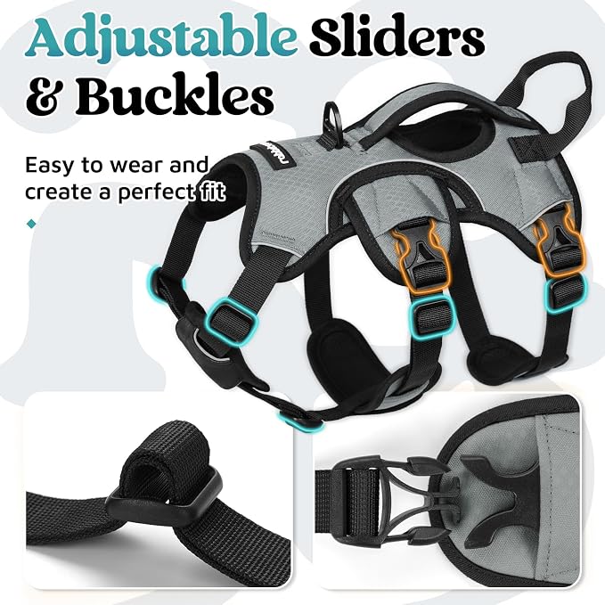rabbitgoo Escape Proof Dog Harness for Small, No Pull with Lift Handle | No Escape, Full Soft Padded, Reflective Adjustable Vest, Leash Clip for Walking Hiking Training, Grey, Small