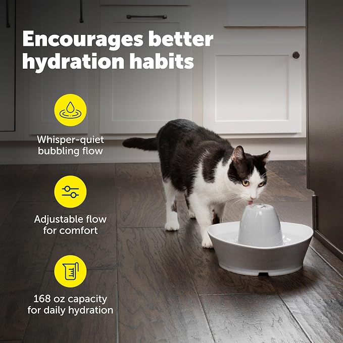 PetSafe Creekside Ceramic Pet Fountain, 60 Oz, Extra Filters | 60 Oz Capacity, Whisper-Quiet Flow, Includes 12 Extra Carbon & 2 Extra Foam Filters, Dishwasher Safe, Cats & Small Dogs