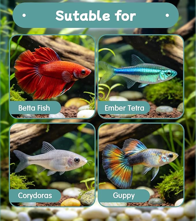 Betta Fish Toys,Including Betta Feeding Ring and Floating Betta Sports Mirror,Betta Enrichment Toys for Small Tank,Betta Fish Tank Accessories