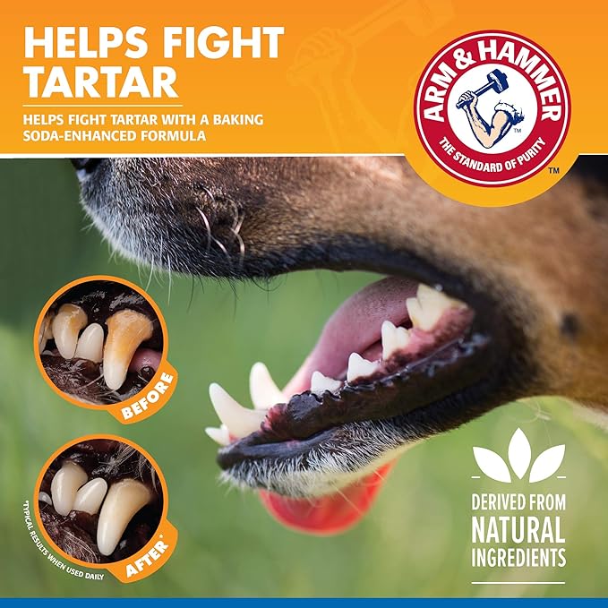 Arm & Hammer Tartar Control Dental Spray for Dogs, Mint Flavor Breath Freshener, Brushless Teeth Cleaning Oral Care with Baking Soda, Helps Reduce Plaque and Tartar Buildup, 4 Fl Oz - 24 Pack