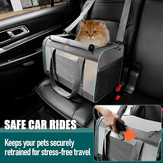 GAPZER Large Cat Carrier Soft, Collapsible Travel Pet Carry Bag, Small Dogs | Large Cats up to 20 lbs+ Maine Coon, Top Load Transport Small Puppy Dog Crate, Chihuahua Mini Dog 10lbs, Sturdy Mesh Grey