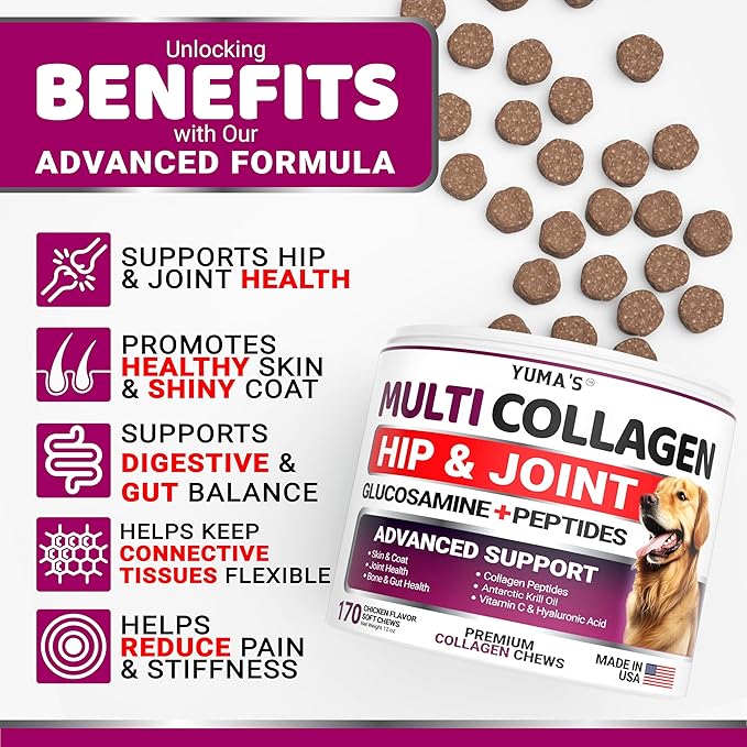 YUMA'S Advanced Collagen for Dogs - 170 Chews - Hip and Joint Supplement - Multi-Collagen Peptides - Skin & Coat Health, Cartilage & Mobility Support - Glucosamine, Vitamin C, Hyaluronic Acid