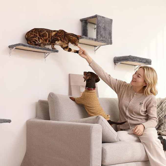 FUKUMARU Cat Wall Shelves, 4 in 1 Set, Light Gray | Stable & Safe Cat Walls Furniture, Wooden Kitten Climbing Wall with Scratching Post for 16 Inch Drywall
