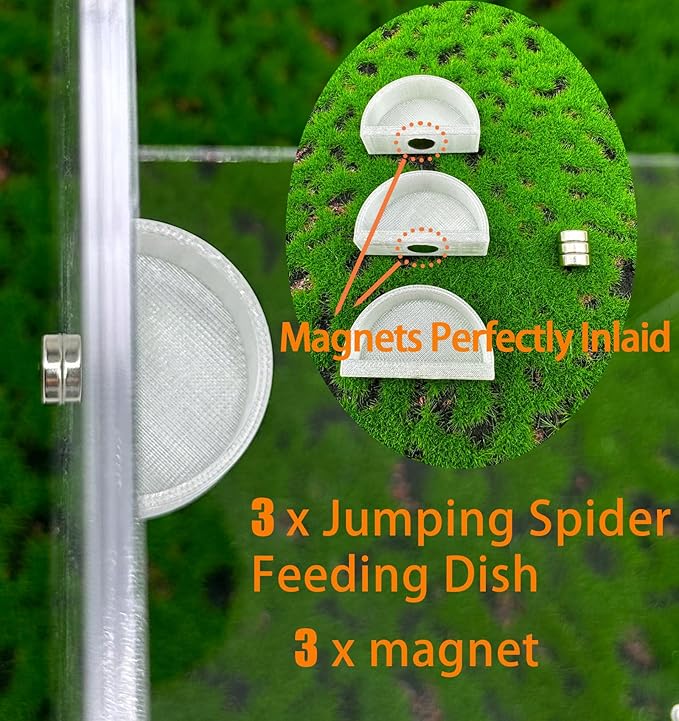 3 PCS Jumping Spider Feeding Dish, Tiny Food Dishes Water Dish for Jumping Spider, Tarantula and Other Small Pets, Half Round