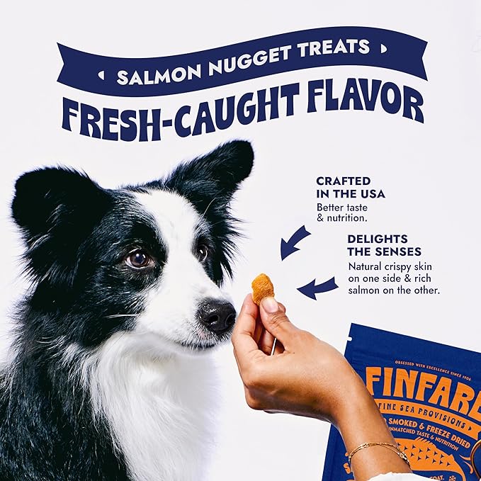 Finfare Freeze Dried Salmon Dog Treats, Protein & Omega-3s, Grain Free Salmon Dog Training Treats, Crafted in USA, Nuggets - 2oz