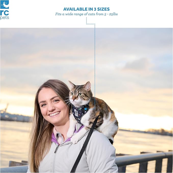 RC Pets Adventure Kitty Cat Harness | Adjustable Airmesh Vest with D-Ring and 6ft Leash for Walking and Travel | Lil Heart, Small