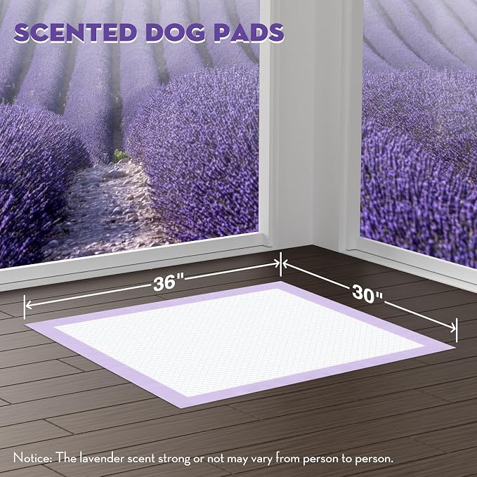 CROCI Large Puppy Pads with Adhesive Tabs Lavender Scented 30x36in 40Ct | Super Absorbent Pee Pads for Dogs Holds Up to 10 Cups of Urine, 6-Layers, Quick-Dry Surface, Leak-Proof, Disposable