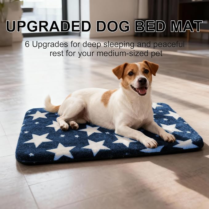 Washable Dog Bed Plush Orthopedic Outdoor Crate Mat with Non-Slip Bottom,Luxe Soft Kennel Pad for Pets, Cozy Cage Cushion & Pet Sleeping Mattress Large Sized,Medium,Small Dogs,30 x 20 inch,Blue