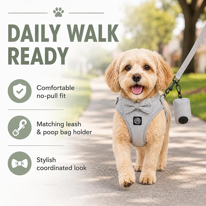 EVERKING 5-Piece Dog Travel Set, Adjustable Harness, Leash, Collar, Poop Bags, Bowtie for Small Medium Dogs, Beige, Breathable No-Pull Design (Slate Gray, L)