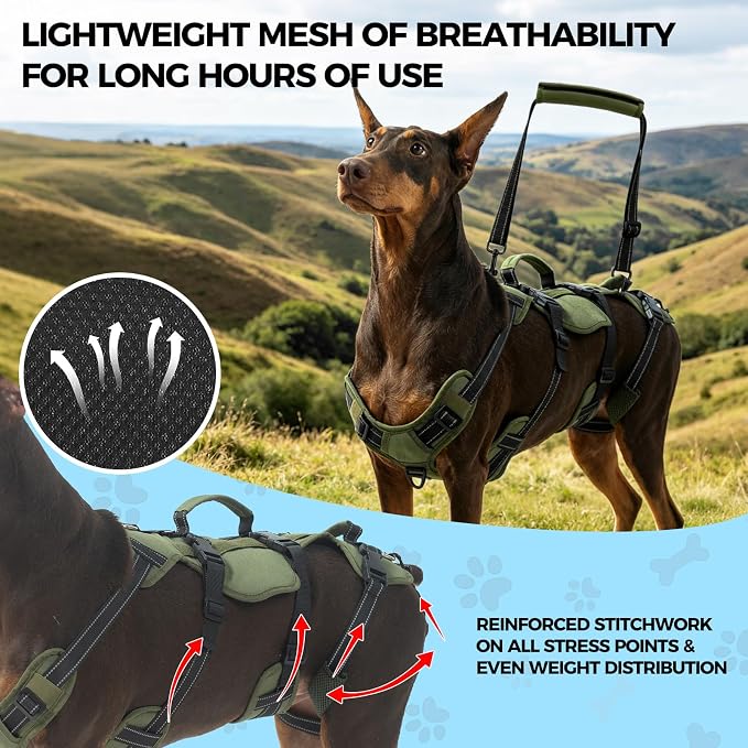 BINGPET Dog Lift Harness for Medium Dogs, Full Body Adjustable Handle Sling | Reflective Lifting Harness Rehabilitation Sling Carrier with Soft Padded Handle, Mobility Assistance Vest for Senior Pets