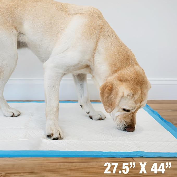 Four Paws Wee-Wee Superior Performance Gigantic Dog Pee Pads, 18 Count (Pack of 2)
