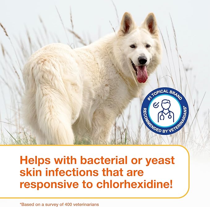 Douxo S3 Pyo Mousse, Contains 3% Chlorhexidine & 0.5% Ophytrium, Antiseptic & Hydrating, for Bacterial or Yeast Skin Infections, for Dogs, 5 fl. oz. (150mL)