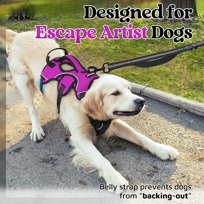rabbitgoo Escape Proof Dog Harness for X-Large, No Pull with Lift Handle | No Escape, Full Soft Padded, Reflective Adjustable Vest, Leash Clip for Walking Hiking Training, Purple, X-Large