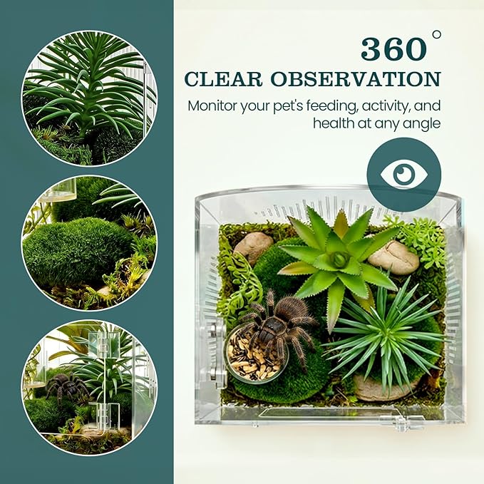 Acrylic Jumping Spider Enclosure, Clear Spider Enclosure Kit with Ventilation, Pre-Assembled Habitat for Jumping Spiders, Tarantula, Mantis, Insects