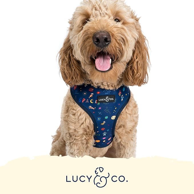 Lucy & Co. Reversible Dog Harness - Water-Repellent Neoprene, Dual-Print Design, Easy Swap Style, Adjustable Comfort Fit - Space Doodle Reversible Harness - X-Small