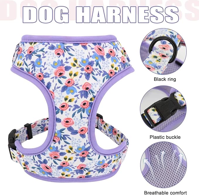 Beirui Cute Dog Collars,Harnesses,Leashes Set, Floral Pattern, Blue,M | Girl Dog Harness Set with Flower, Adjustable and Soft Mesh Lining, For Medium Dogs Daily Walks