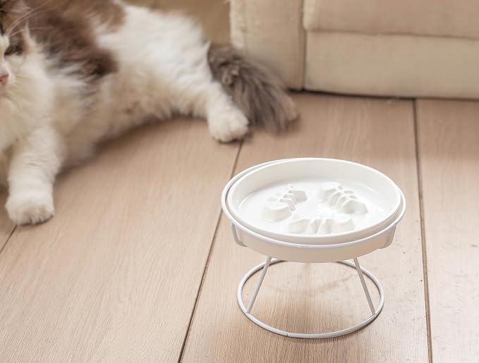 Ceramic Elevated Slow Feeder Cat Bowl, Anti Vomit, Removable Dish, White | Removable Ceramic Bowl Elevated Anti Vomit Whisker-Friendly Wet & Dry Food White Glazed Finish