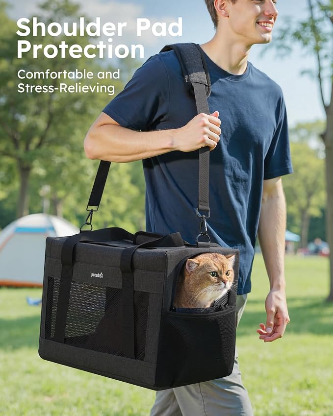Pecute Cat Carrier, Portable Dog Carrier with Stable Structure, Dark Grey | Larger Space, 360° Ventilation & Comfort, Escape-Proof, for Travel / Car Trips / Vet Visits, Fits Cats up to 11 lbs