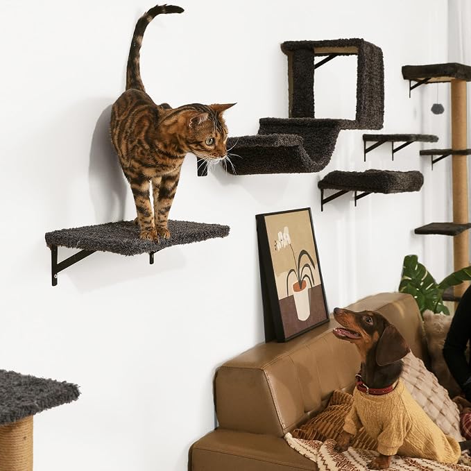 FUKUMARU Cat Wall Shelves, 4 in 1 Set, Grey | Stable & Safe Cat Walls Furniture, Wooden Kitten Climbing Wall with Scratching Post for 16 Inch Drywall