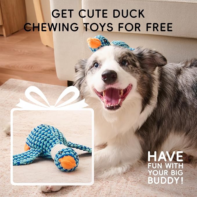 Homemate Dog Bed Large Sized Dog: 36"x27" Orthopedic Pet Bed with Toy | Large Dogs Bed with Non-Slip Botton & Removable Washable Cover Cat Bed Sofa L Outdoor Crate Pad Couch Light Grey