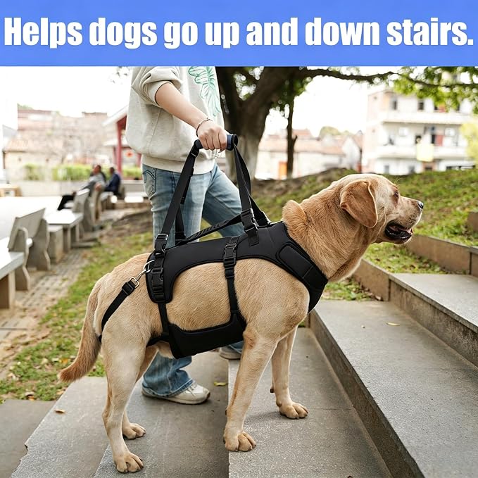 COODEO Dog Lift Harness for Large Dogs, Full Body Support Mobility Aid for Senior Dogs, Adjustable Help for Weak Hind Legs, Arthritis, Stairs & Cars(Black,L)
