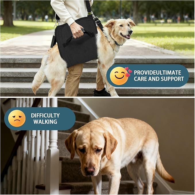 Adjustable Dog Lift Harness, Dog Carry Sling Provides Rear Leg Support for Senior Dogs, Arthritis and After ACL Surgery Dogs,Suitable for Medium to Large Dogs,Black XL