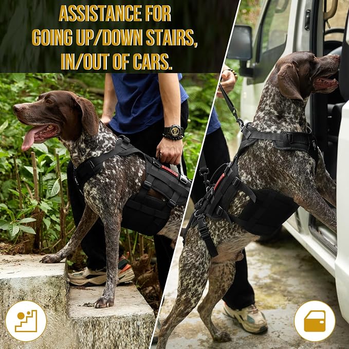 OneTigris Dog Lift Harness for Large Dogs, Dog Hip Support Brace, Full Body Lifter with Handles Invictus Multifunctional Mobility Assistance Vest for Back Legs