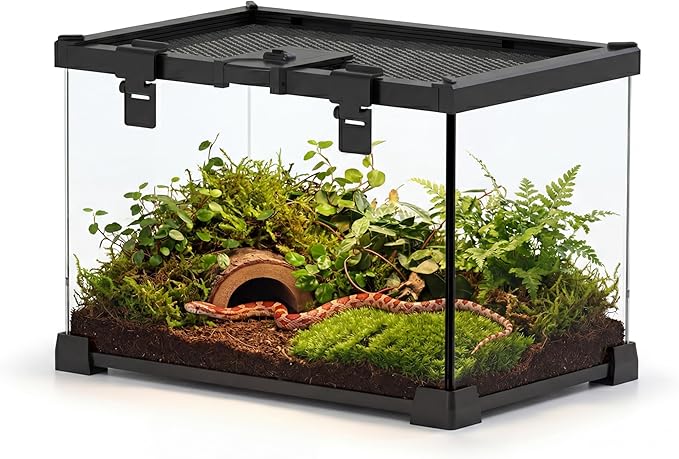 12"x8"x8" Reptile Terrarium, Escape-Proof Glass Terrestrial Vivarium for Hatchling Snakes Such as Corn Snakes, with Escape-Proof Lock & Feeding Hatch