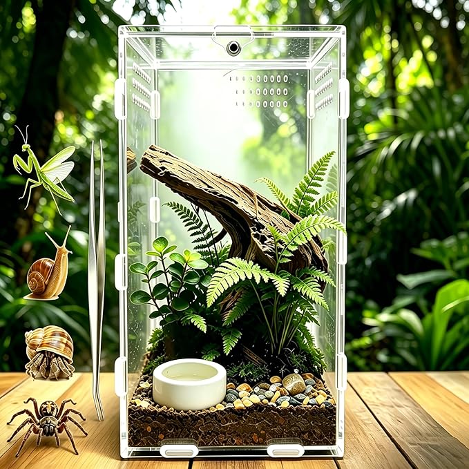 Jumping Spider Enclosure, Acrylic Terrarium with Magnetic Door & All-Side Ventilation, Easy-Clean Habitat for Spider, Tarantula, Mantis, Snail(Tweezer and Bowl Included)