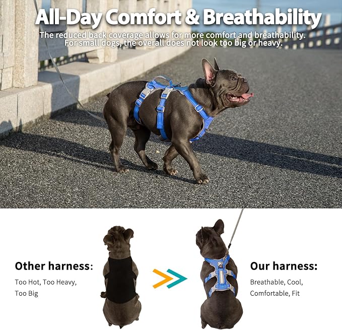 Escape Proof Dog Harness, No Pull Reflective Harness with Lift Handle,Adjustable Pet Vest with Front and Back Leash Clips for Small Medium Large Dogs Walking Hiking Training (Sea Blue,L)