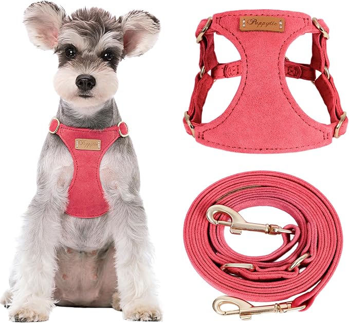 Puppytie Dog Harness with Multifunction Dog Leash,Soft Adjustable No Choke Escape Proof Pet Harness Vest for Medium Dogs or Large Dogs,red-Camellia,M