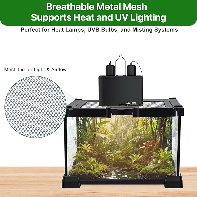 Mini Glass Terrarium Tank 8"x8"x6" with Top-Opening Mesh Lid, 360° Clear View, Ventilated Enclosure for Tarantulas, Jumping Spiders, Isopods, Froglets, & Small Reptiles