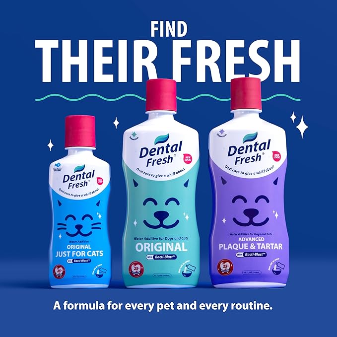 Dental Fresh Water Additive for Dogs and Cats, Clean Teeth and Fresh Breath, Daily Pet Oral Care Just Add to Water, Flavorless, 8 fl oz