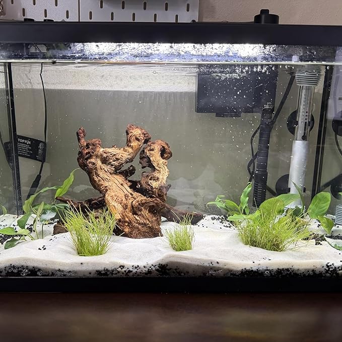 3 PCS Large Natural Aquarium Driftwood 10-12", Aquarium Drift Wood for Fish Tank Decoration, Assorted Size Mopani Wood Twisted Branches Trunk Decor for Freshwater, Reptile Terrarium