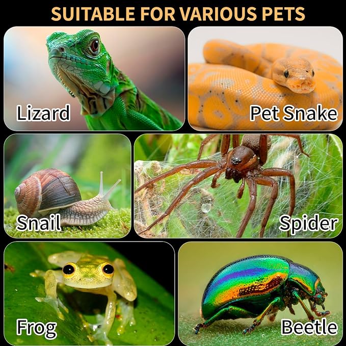 Acrylic Reptile Terrarium Easy Assembly, 360° Clear & Keep Pet Secure Design for Jumping Spiders, Tarantulas, Geckos Scratch-Resistant Large Ventilated Habitat Terrarium for Arachnids 9.8*5.9*5.9in
