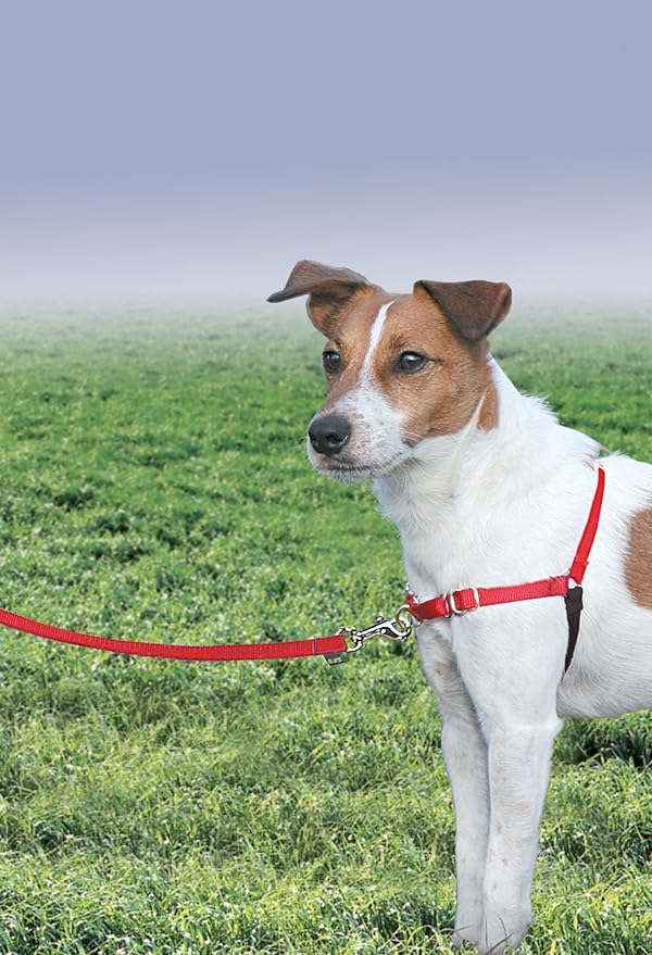 PetSafe Easy Walk Harness, No Pull Dog Harness, Red, Small/Medium | Patented Martingale Loop Gives Gradual Shoulder Pressure to Stop Pulling, Front-Chest Leash Clip Prevents Gagging
