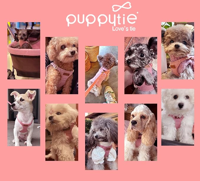 Puppytie XXS Puppy Harness and Leash Set, Pink, XXS (2.2–6 lbs) | Puppy Harness for Small Dogs, Teacup and Yorkie Harness, Soft Lightweight and Adjustable, XXS Dog Harness for Daily Walks