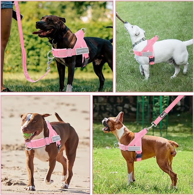 SlowTon No Pull Dog Harness with Front Clip - Heavy Duty, Soft Padded | Neck & Chest Adjustable, Tactical Pet Vest and Leash Set for Large Medium Sized Dogs, for Easy Walk & Training, Pink L