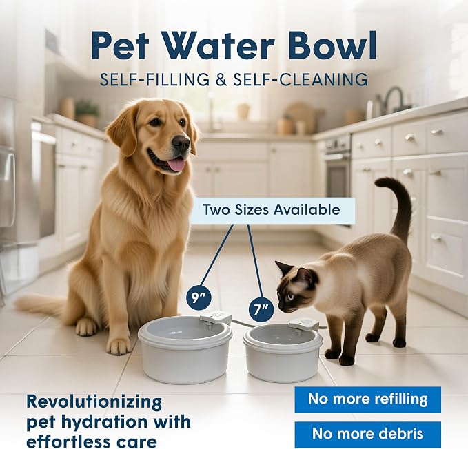 Always Full® 9" Self-Refilling Dog Water Bowl with Wall Unit | Self-refilling filtered water with app-enabled hydration monitoring; easily upgradeable to the Always Full® Wall Unit.