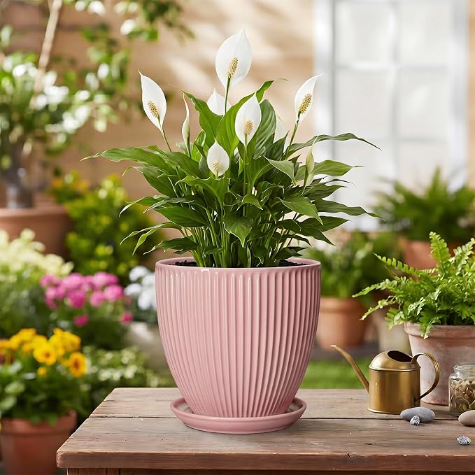 6 Inch Flower Pots, Ceramic Pots for Plants Indoor, Modern Plant Pot with Drainage Hole and Saucer, Decorative Small Round Succulent Planter, Living Room Office Decor, Women Men Gifts, Pink
