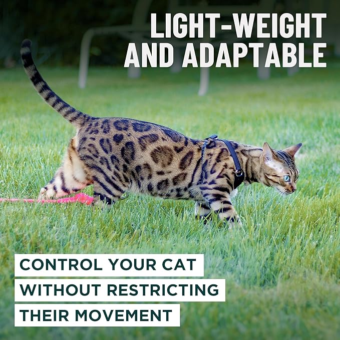 Houdini™ Escape Proof Kitten Harness + Leash (Multicolor, S) | Adjustable walking vest with 6ft lead, breathable mesh, snug secure fit, light and gentle for first outdoor adventures