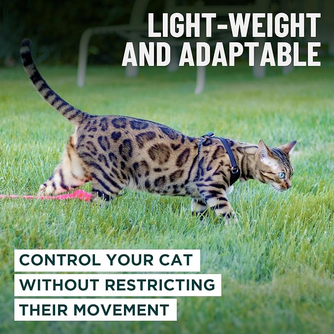 Houdini™ Escape Proof Cat Harness and Leash (Pink, M/L) | Adjustable walking vest with 6ft lead, breathable mesh, secure snug fit, lightweight for travel, hikes and daily adventures