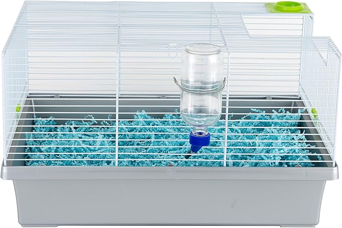 Lixit 30-0370-024 Glass Water Bottle for Birds and Small Animals, 8-Ounce