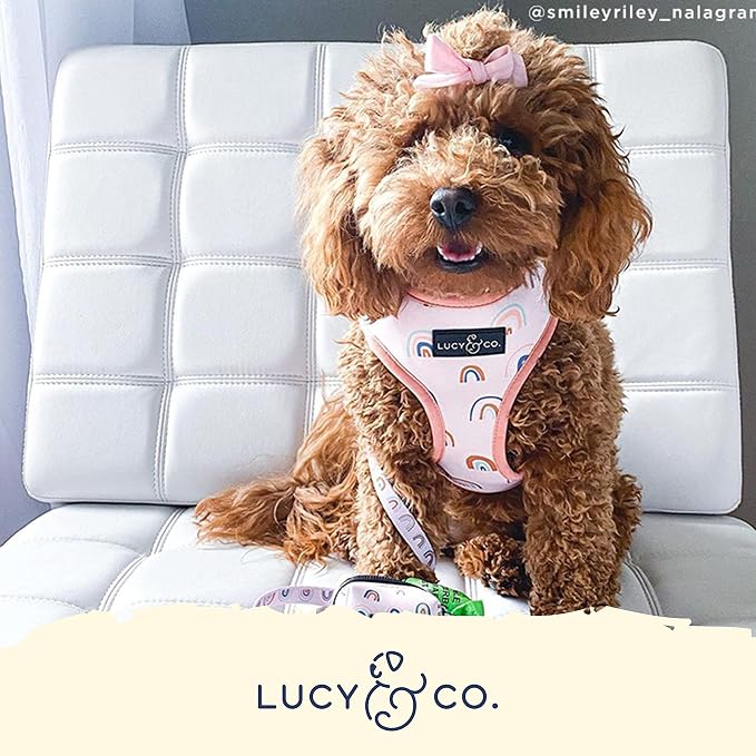 Lucy & Co. Reversible Dog Harness - Water-Repellent Neoprene, Dual-Print Design, Easy Swap Style, Adjustable Comfort Fit - in the Clouds Reversible Harness - X-Small