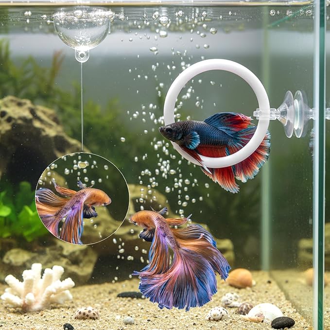 Molain Betta Fish Enrichment Toys, Betta Fish Tank Accessories 2 Training Rings 1 Mirror with Floating Ball Plastic Aquarium Enrichment Toys Set for Fishes Exercise Mental Stimulation