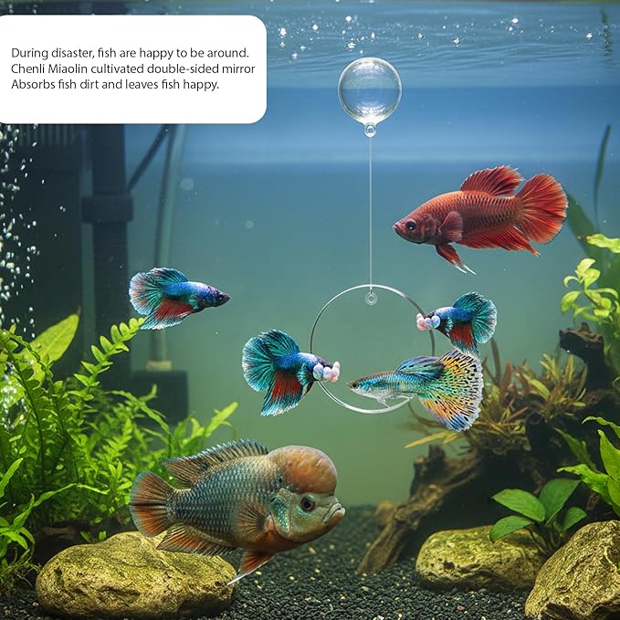 Betta Fish Tank Accessories, 3-Piece Set with 2 Training Rings and 1 Mirror with Floating Ball, Plastic Betta Fish Toys for Aquarium Enrichment