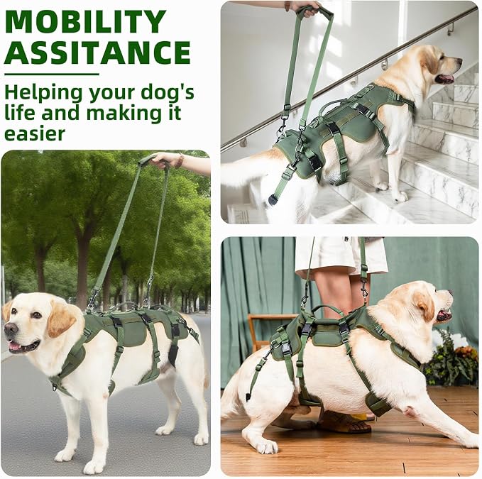PUPTECK Dog Lift Harness for Medium Large Sized Dog, Rehabilitation Sling for Hind Leg Support, Multifunctional Mobility Assistance Harness for Old, Disabled, Joint Injuries, Paralysis Dog, Green XL