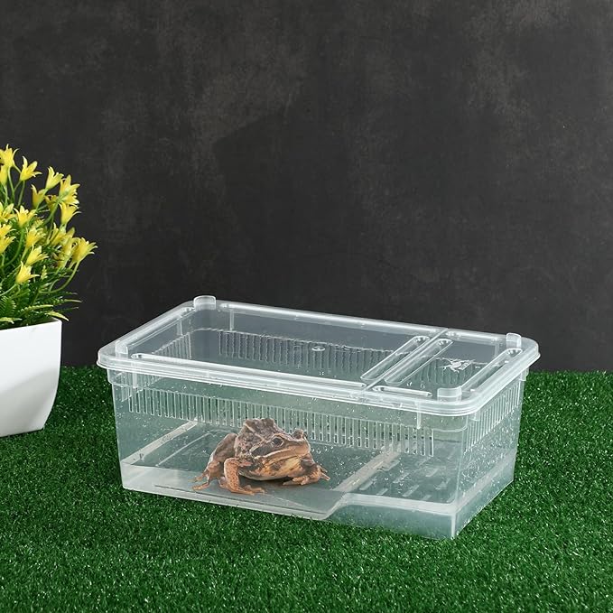 Irenare 8 Pcs Reptile Breeding Box Plastic Spider Terrarium Tarantula Feeding Box for Bearded Dragon Lizard Spider Gecko Scorpion (Vent Strips,Clear,8.6 x 5.1 x 3.1 Inch)