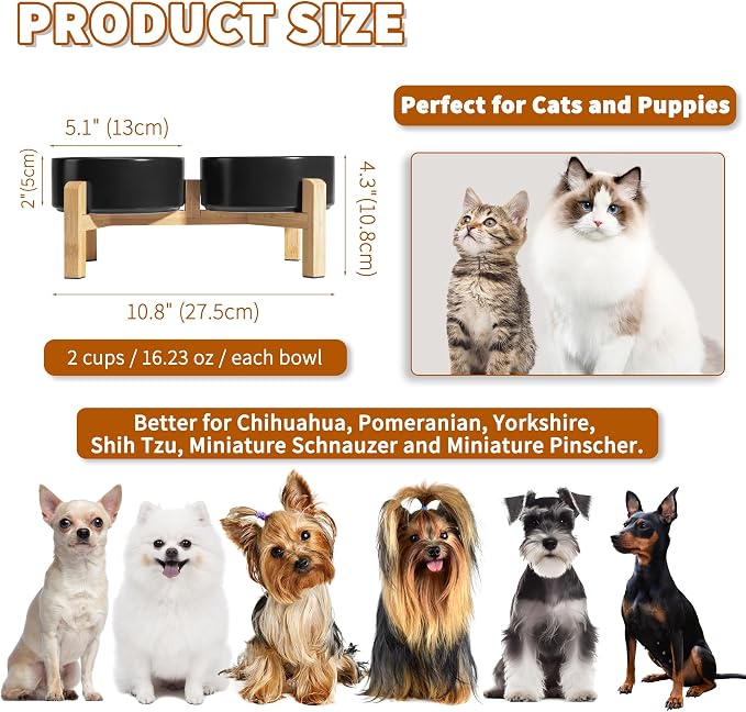Elevated Ceramic Dog Bowl, 2 Cups Dog Food and Water Bowl Set with Stand | 5.1'' Double Dog Feeding Dishes, Non-Slip Raised Dog Feeder for Cats and Puppies, 16.23 OZ / 480 ML, White